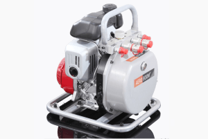 Double Output Motor Pump